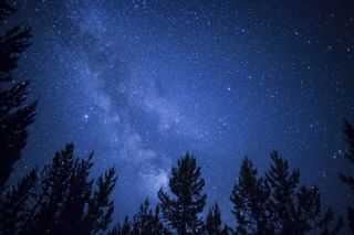 The night sky filled with stars above the Umatilla National Forest in Oregon