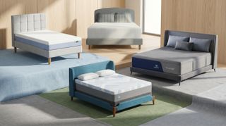 A selection of beds.