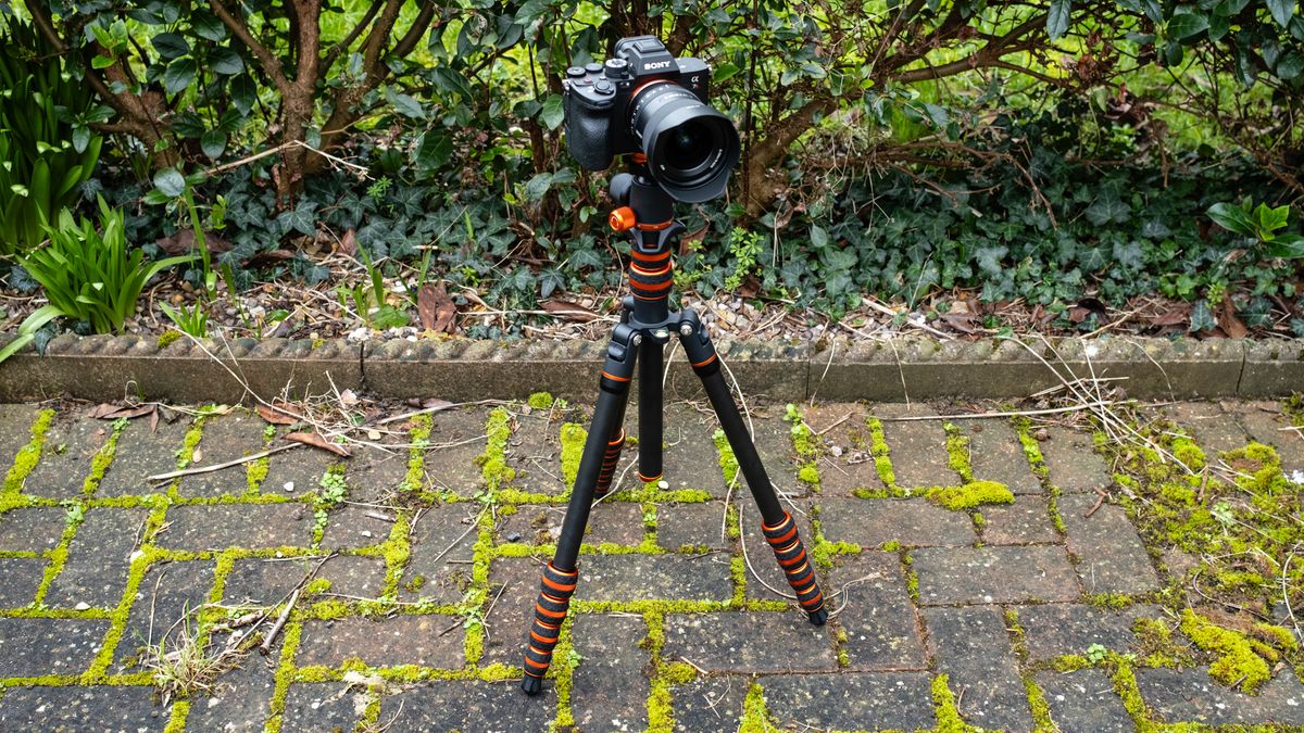 3 Legged Thing Punks Brian 2.0 tripod with camera attached