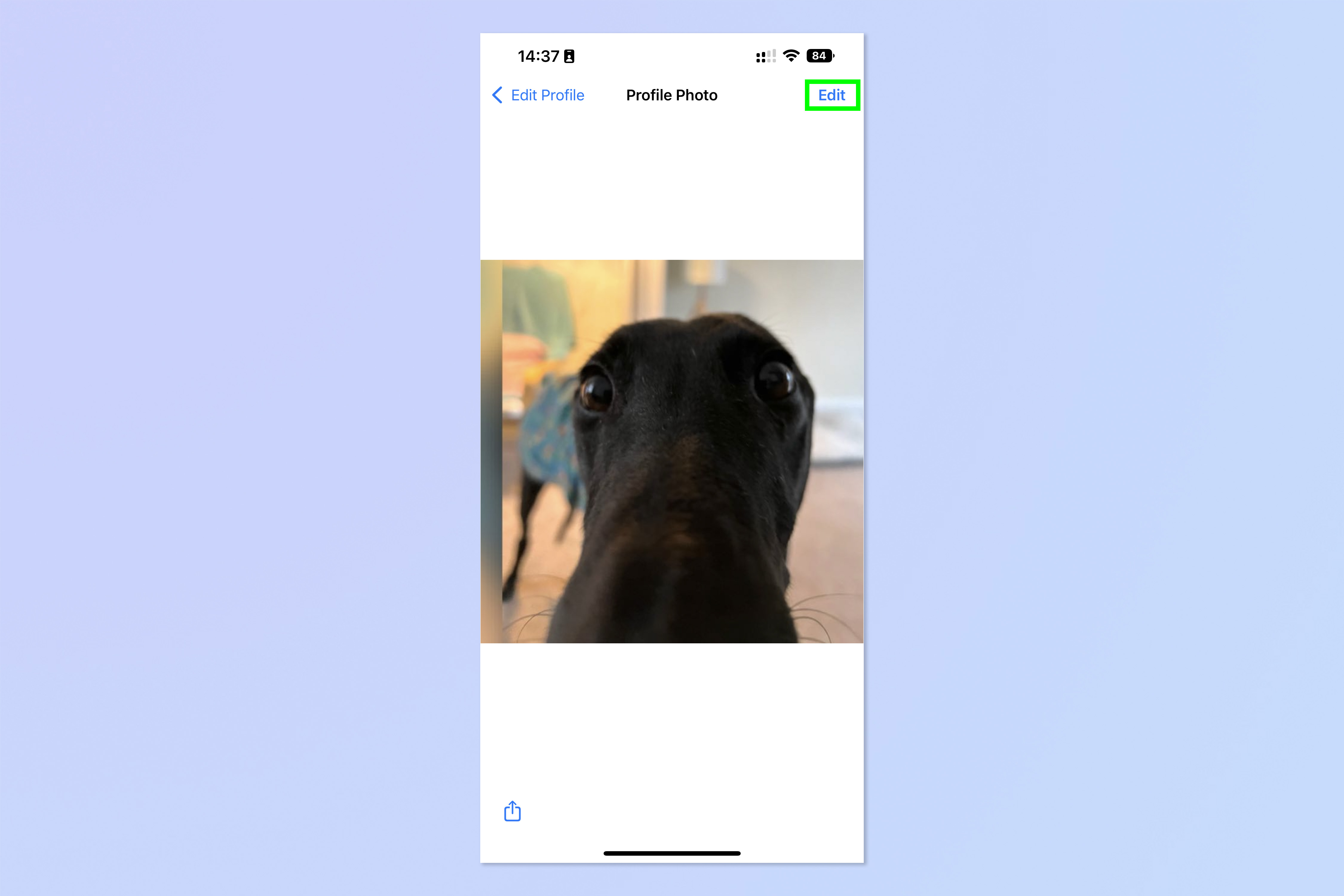 Скриншот, показывающий шаги, необходимые для создания аватара WhatsApp, установки его в качестве изображения профиля и отправки в качестве стикера.
