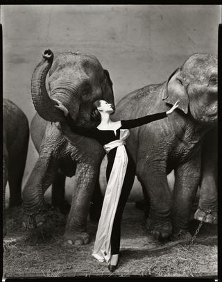 © The Richard Avedon Foundation