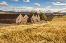 A whisky distillery beside barley fields under a blue sky with clouds