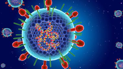 illustration of the rsv virus where you can see the genetic material curled up inside