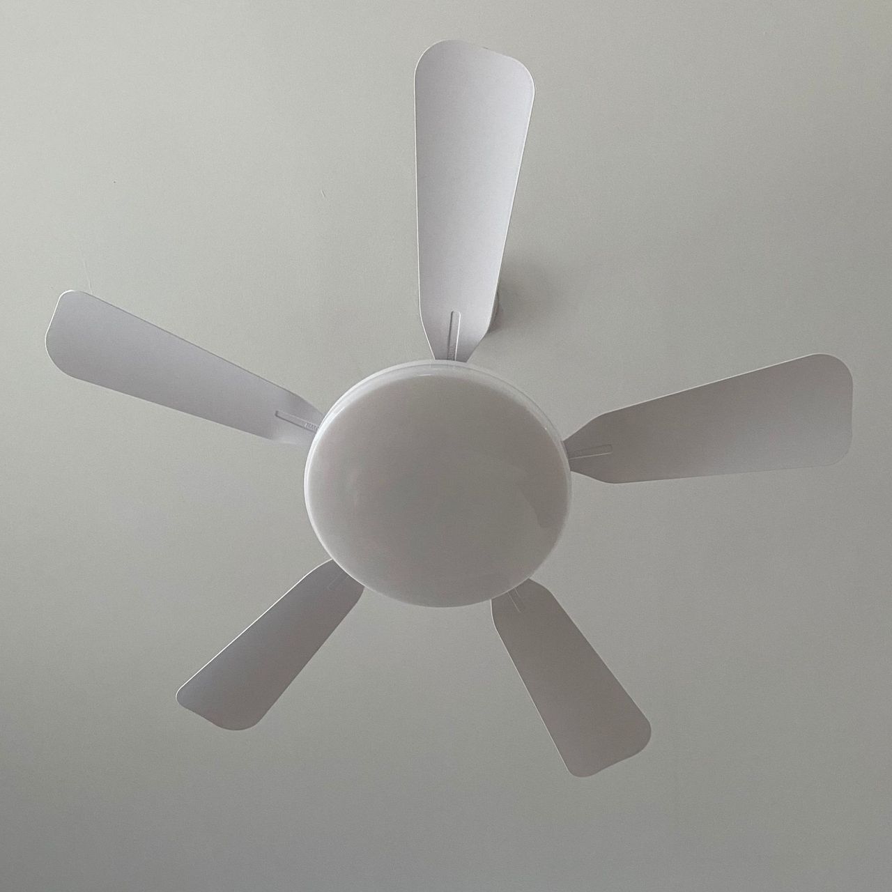 Amazon ceiling fan installed