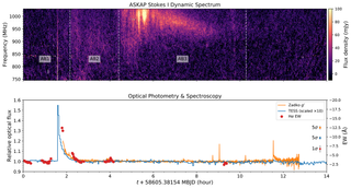 Radio and optical data from Proxima Cen on the night of May 2 2019. The top panel shows the ASKAP ‘dynamic spectrum’, showing how the intensity varies with radio frequency and time. The bottom panel shows data from optical telescopes, revealing a powerful outburst of radiation. When paired together, the occurrence of powerful radio bursts associated with flaring activity becomes clear.