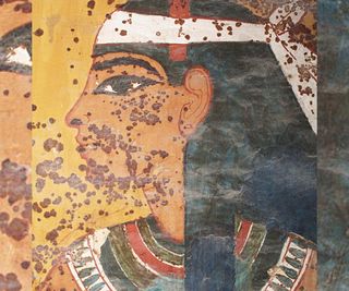 Scientists found that the brown spots on the tomb's wall paintings likely came from a microbe that is now dead.