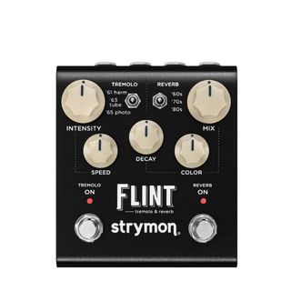 A Strymon Flint reverb and tremolo pedal