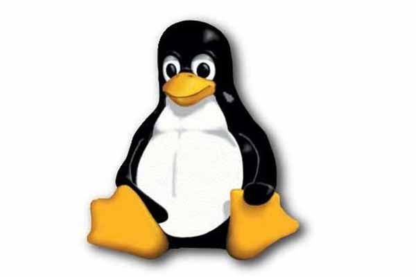 Linux Penguin