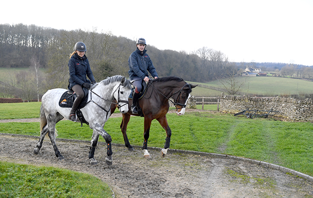 Cranford Stud Eventing 26 01 2018