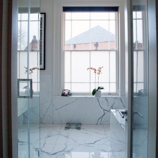 bathroom with windows