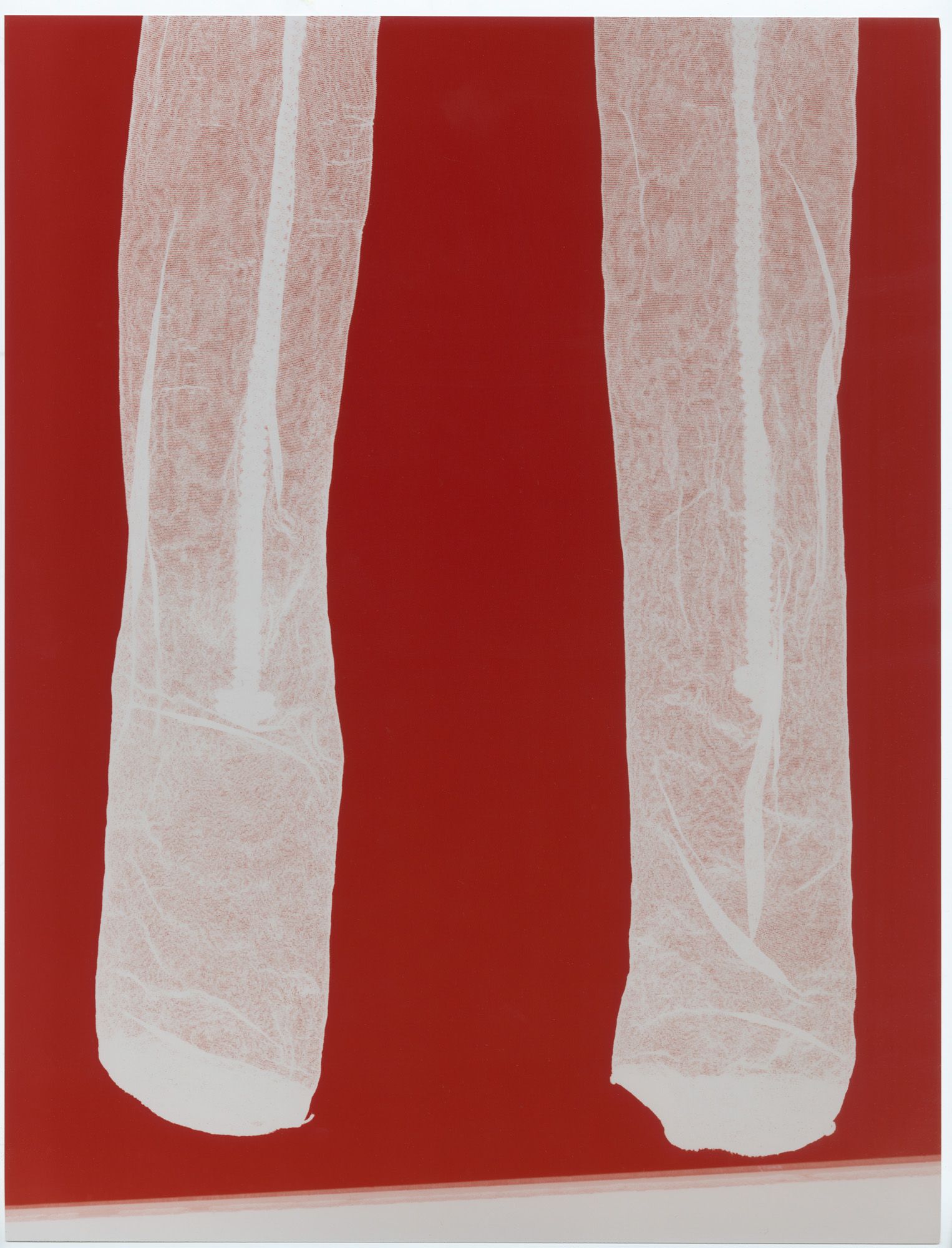 photography exhibition