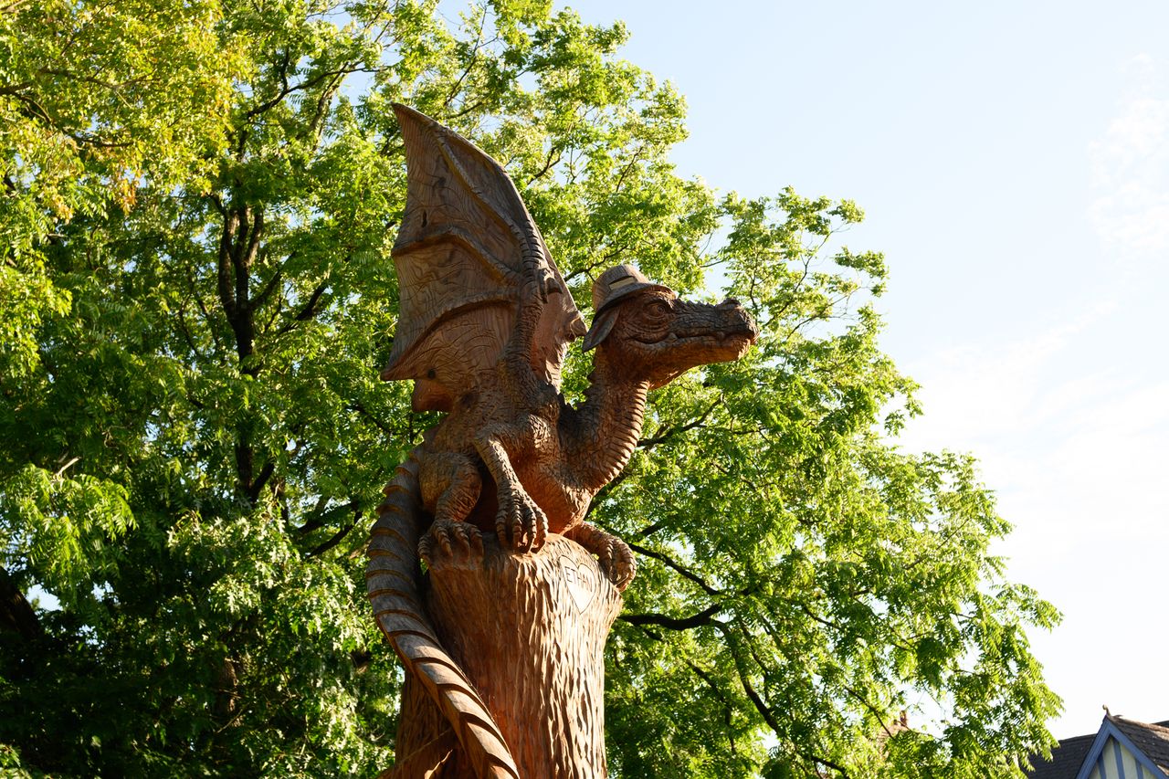 Nikon Z fc sample image