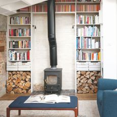 Log burner in seating area, with bookshelves either side and log storage at the bottom