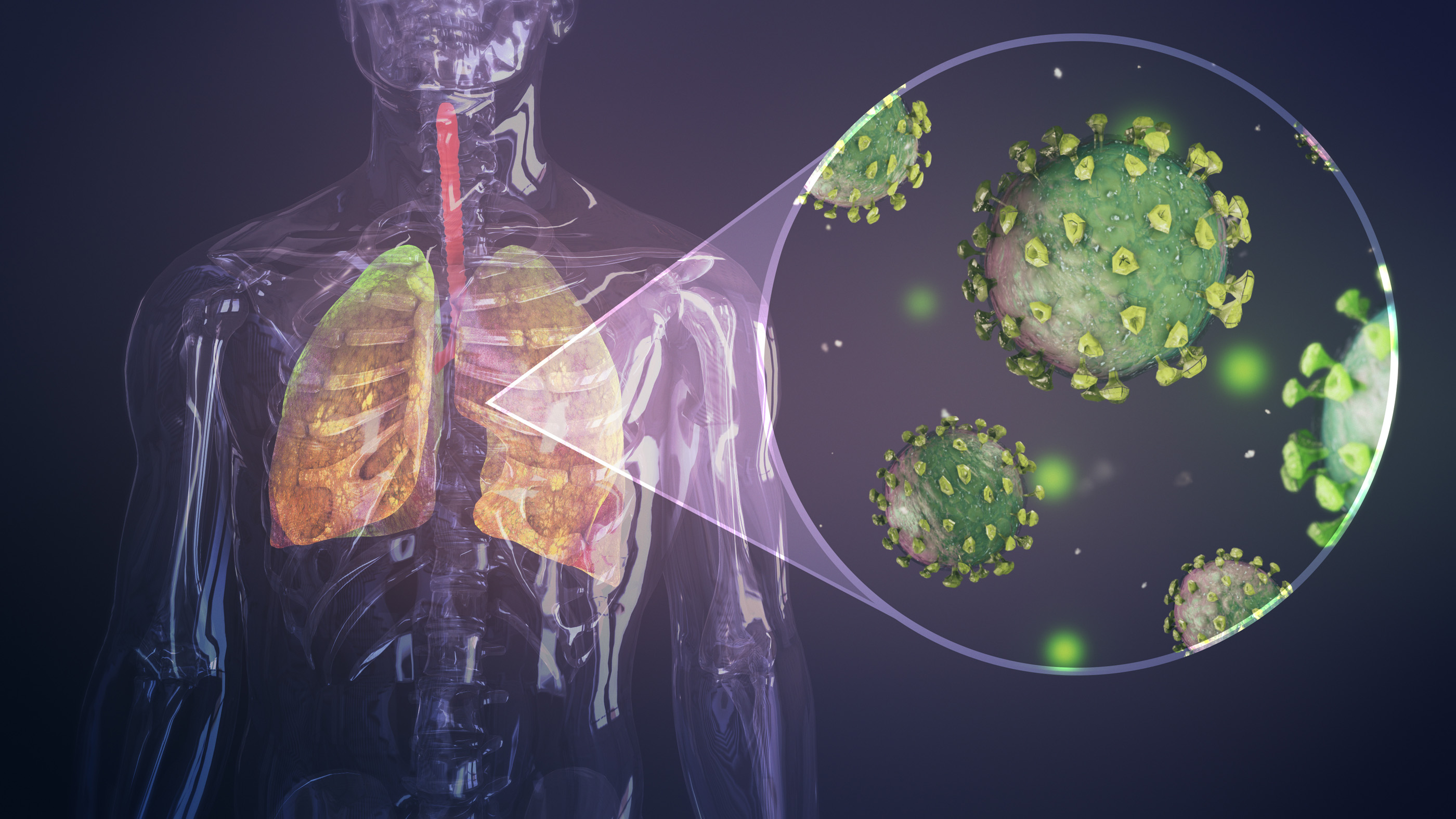 Risk factors for severe COVID-19 infection.