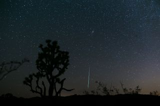 A Geminid meteor bursts through the night sky in this image taken by photographer Tyler Leavitt near Las Vegas, Nevada. Above the meteor, you can see the Andromeda galaxy, our closest galactic neighbor.