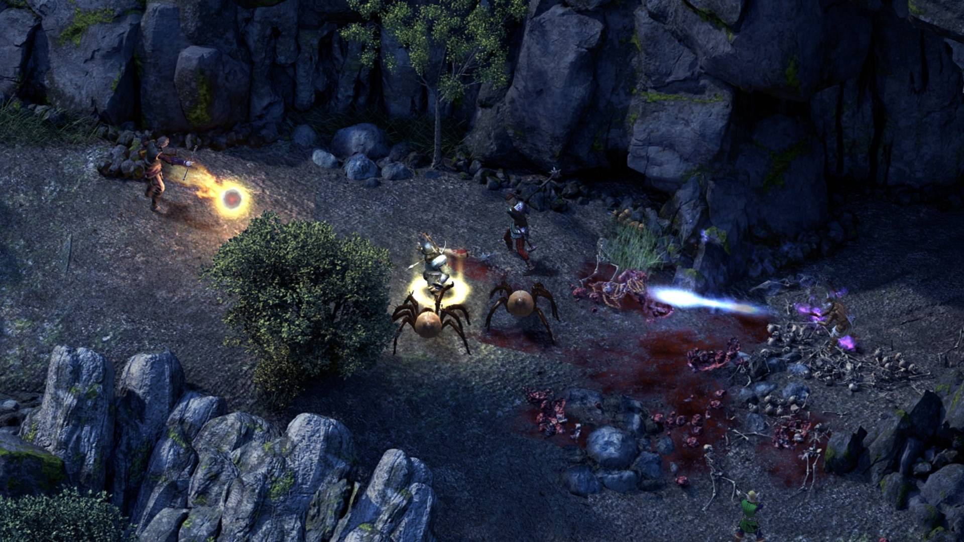 In Pillars of Eternity, the party which includes a wizard and a fighter battle some giant spiders