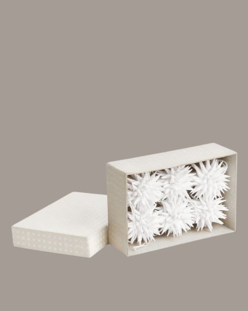 Paper Stars, Set of 6