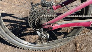 Close up of chain set on mountain bike
