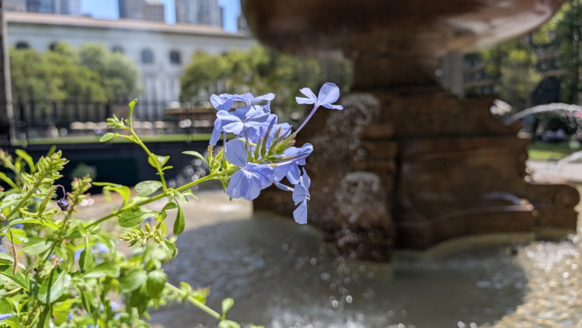 Google Pixel 11 Pro Fold REVIEW Photo Samples