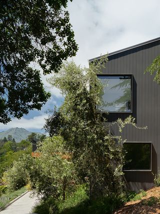 corner of modern grey house with orthogonal windows next to mature trees and againast blue skies at Mill Valley house Courtyard house
