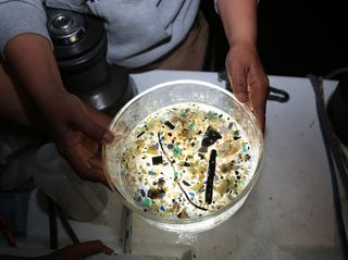 garbage patch plastic ocean debris