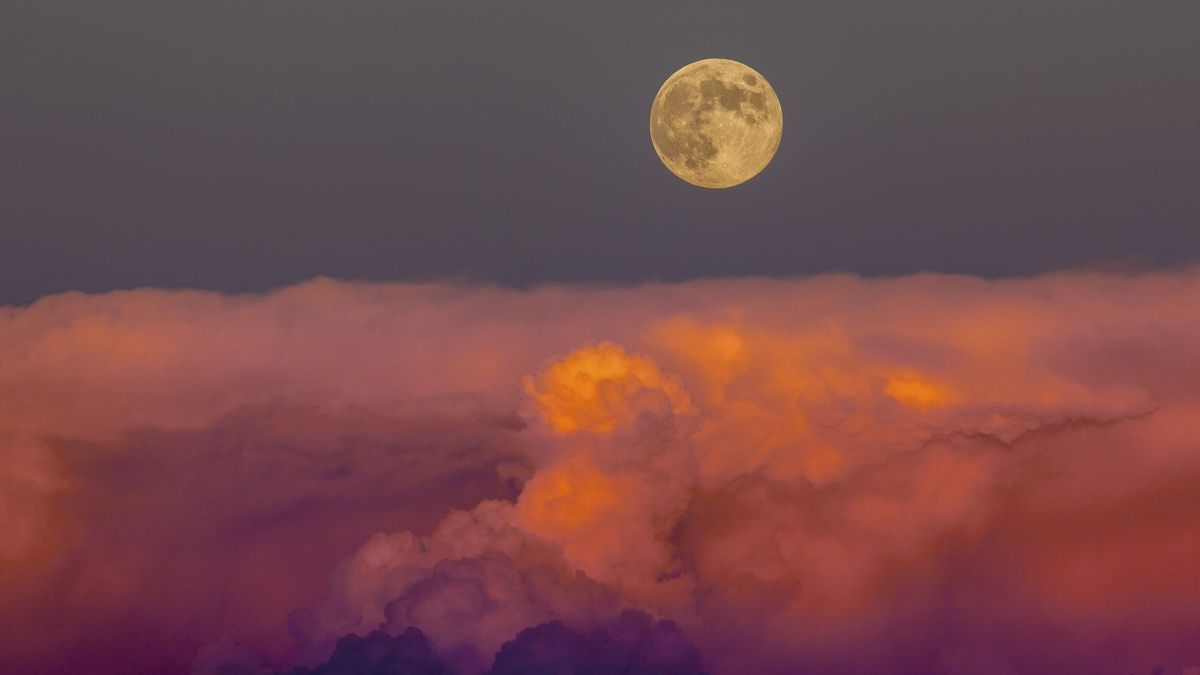 Last supermoon of 2023 rises this week. Don't miss the Harvest Moon shine with 3 bright planets