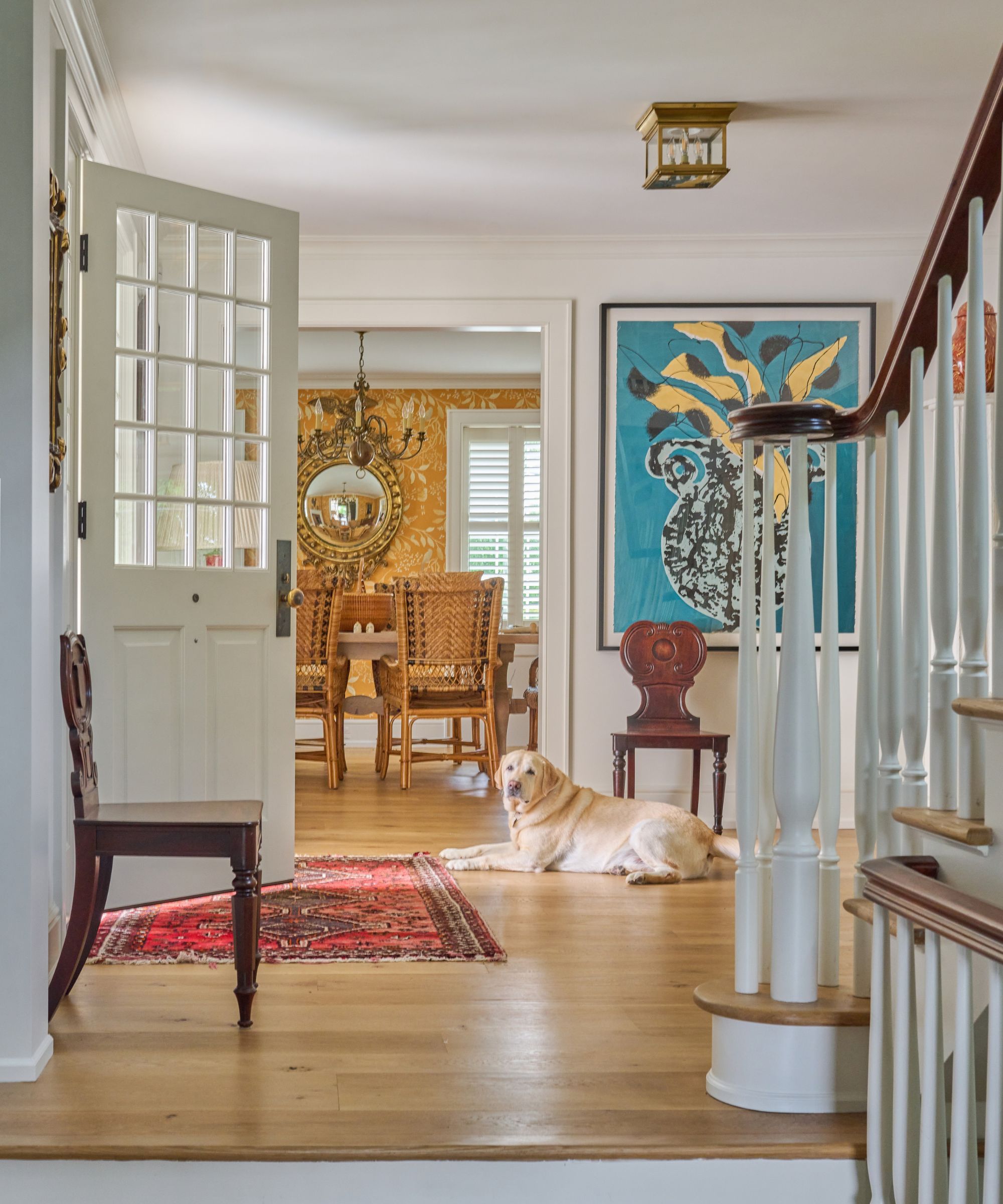 Entryway with white walls, a classic wooden curved staircase, wooden flooring, two Regency chairs, a golden Labrador sitting in the middle, and a dining room with yellow wallpaper.