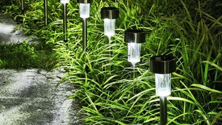 Outdoor lights for paths