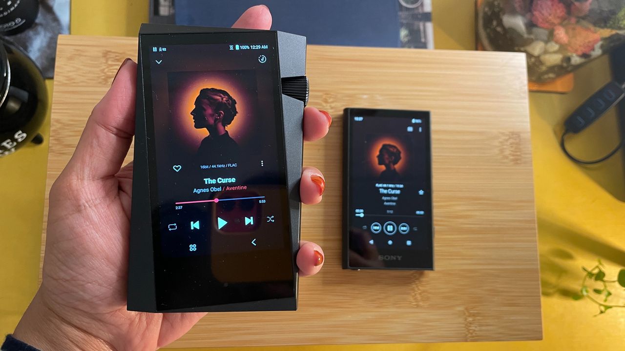 Sony NW-A306 and Astell &amp; Kern A&amp;norma SR35