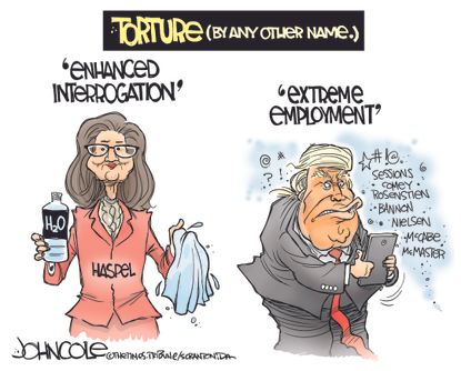 Political cartoon U.S. Gina Haspel CIA nomination torture Trump White House revolving door