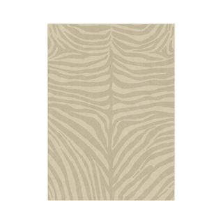 Wayfair Sand Zebra Rug
