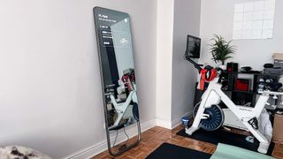 Fiture fitness mirror in livingroom