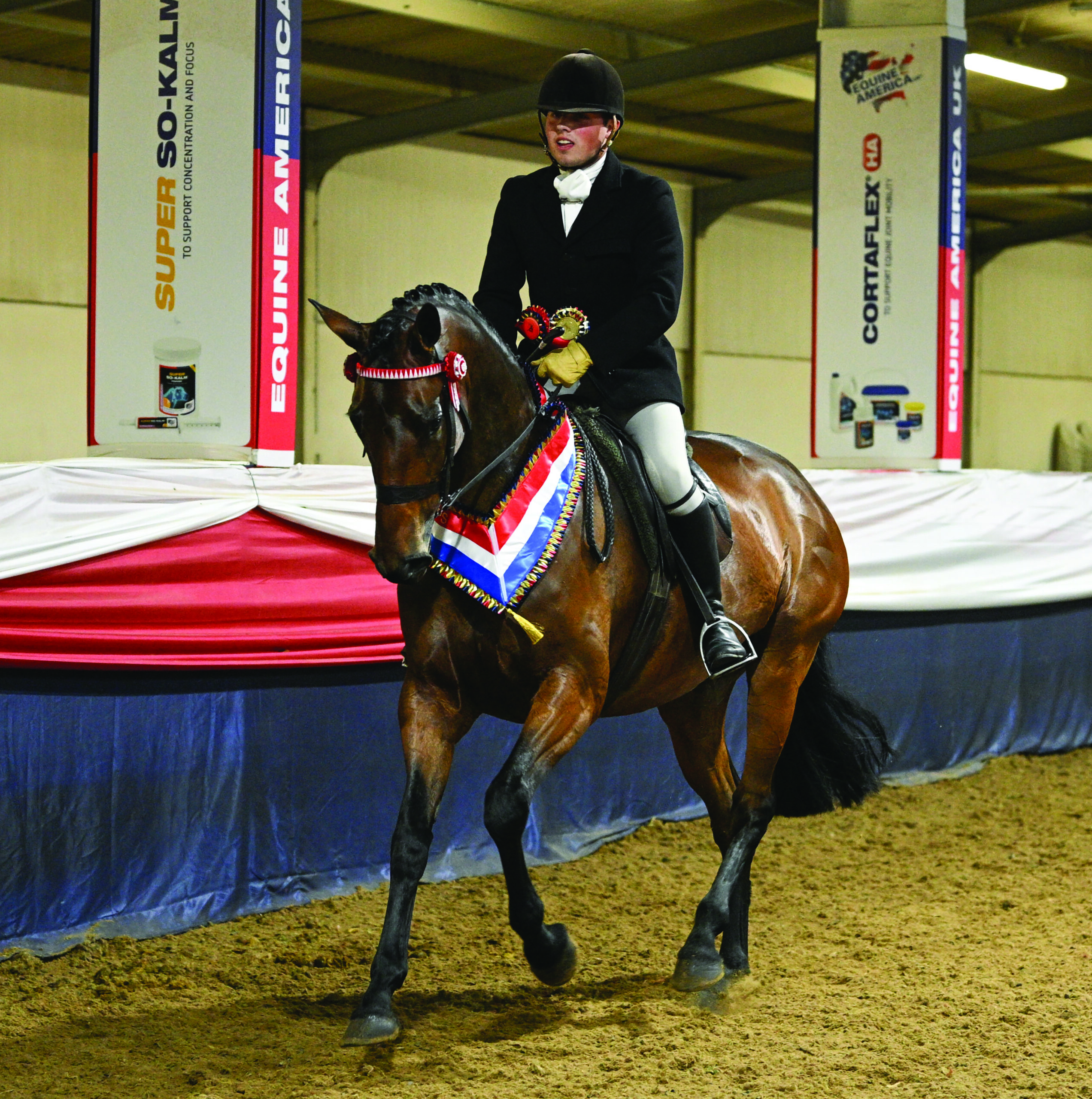 Ballarin Rosa is piloted by Team Jinks' Jack Owen to land the novice intermediate championship; the pair canter from the ring here