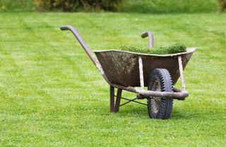 a wheelbarrow with grass clippings from a cut lawn