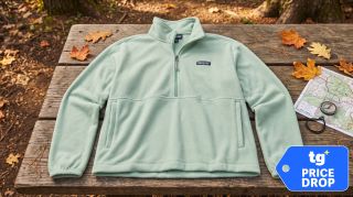 A photo of a Patagonia fleece