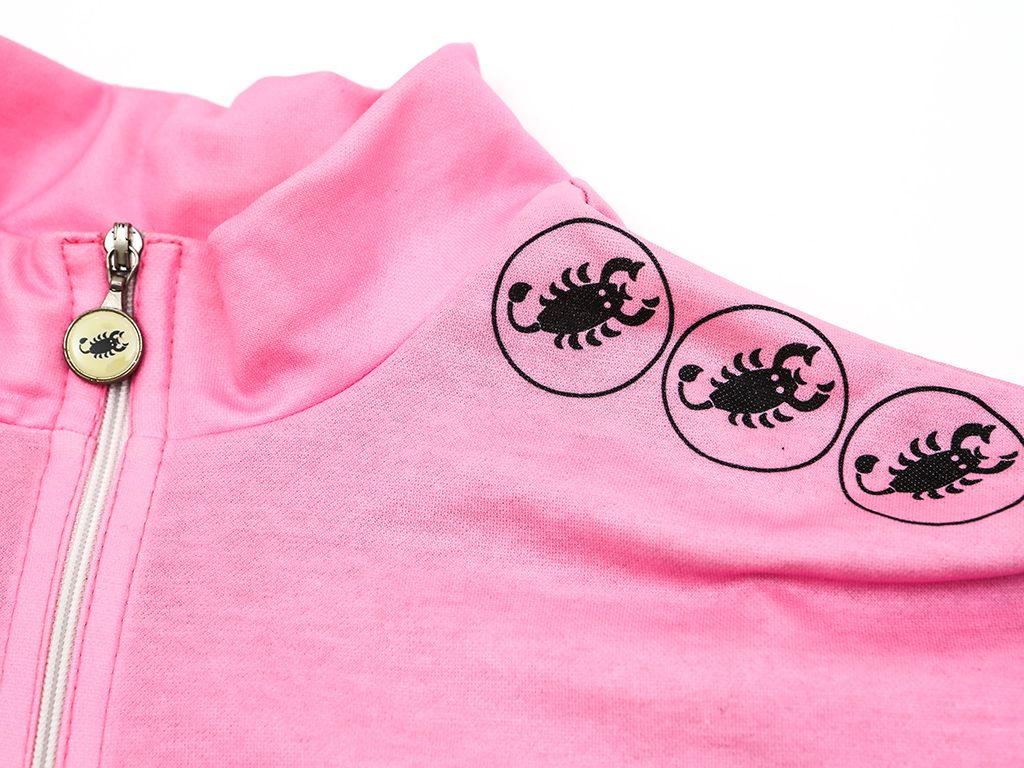 Castelli's Scorpion logo has been updated over the years