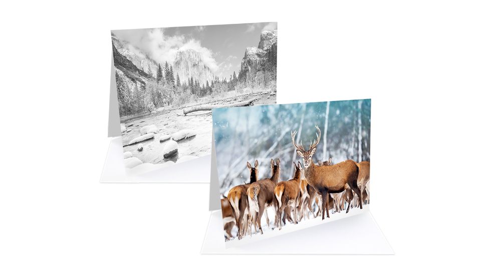 print-christmas-cards-at-home-with-fotospeed-s-fotocards-digital-camera-world