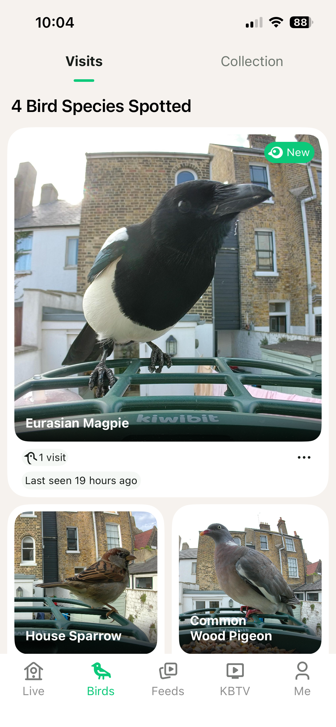 Kiwibit Bird Feeder 2 Pro app screenshots