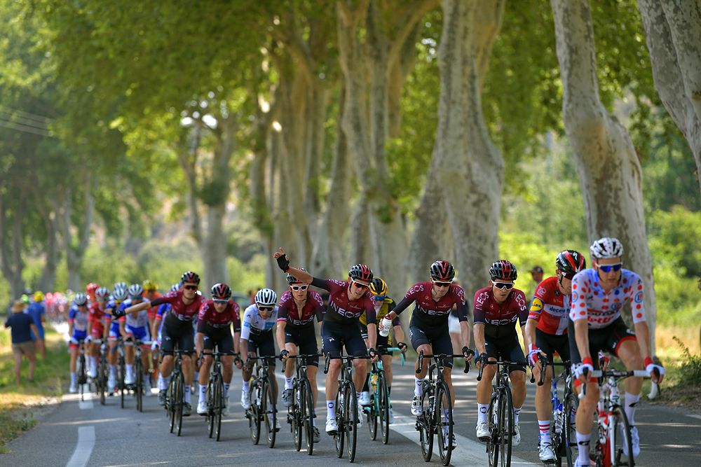 The peloton, Team Ineos, racing stage 16 at the Tour de France