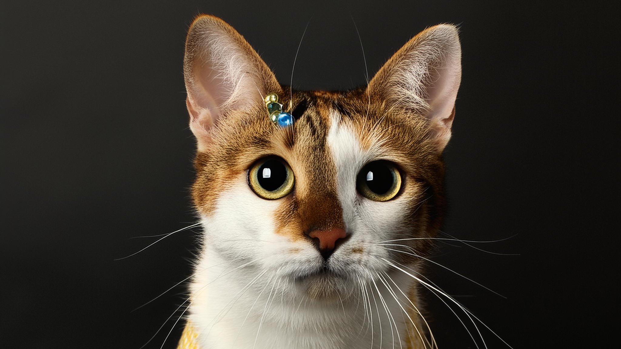 AI generated image of cat