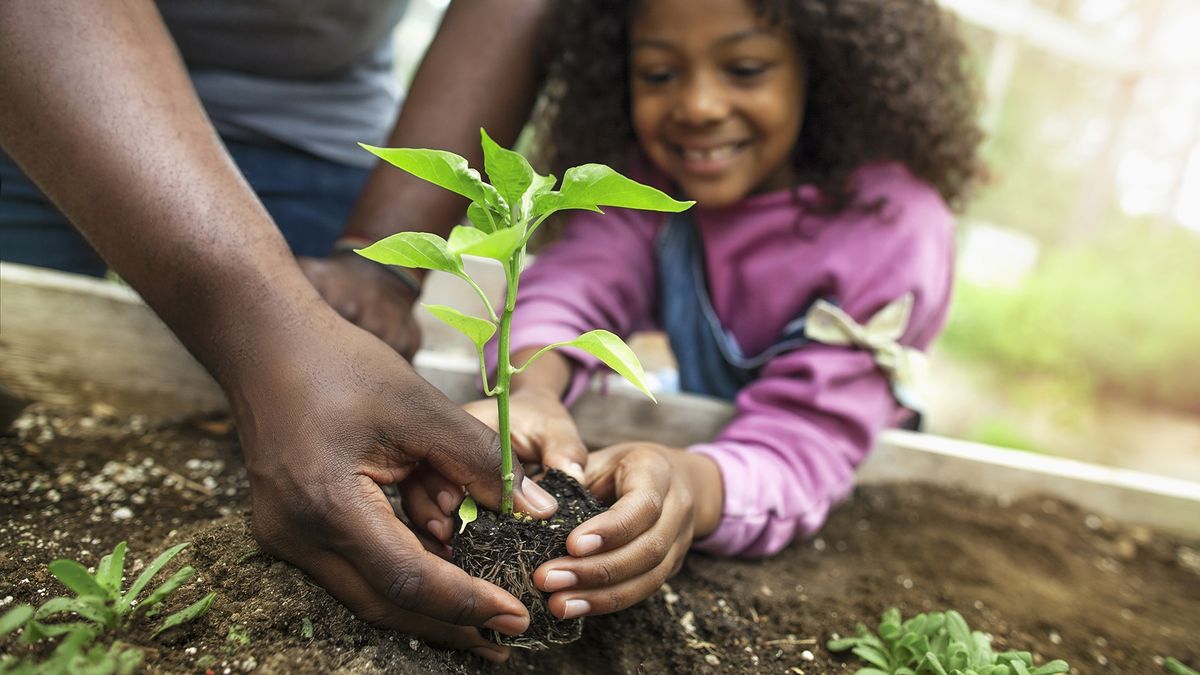 Easiest vegetables to grow