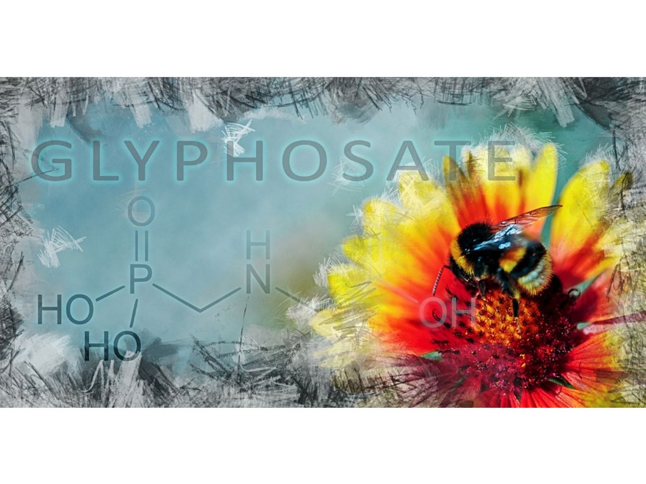 Glyphosate Chemical