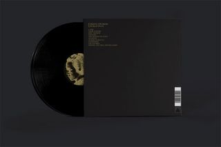 album artwork of the week forest swords