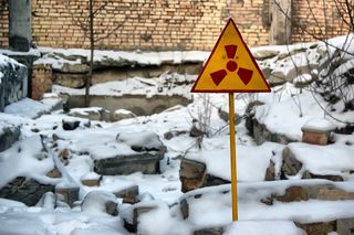 chernobyl, Chernobyl disaster, chernobyl catastrophe, plants decay chernobyl, decomposition, leaf litter