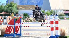 Showjumping results: Ben Maher and Exit Remo winning at Oliva Nova, Spain