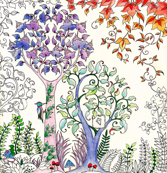 Part of the Enchanted Forest in colour