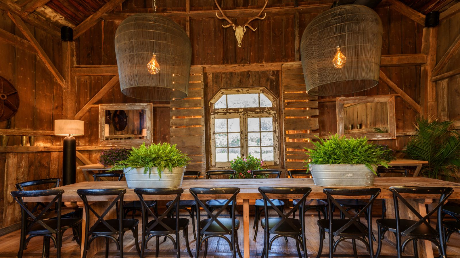 Long table in a wooden barn with black chairs and galvanized pots with large wicker pendant lights