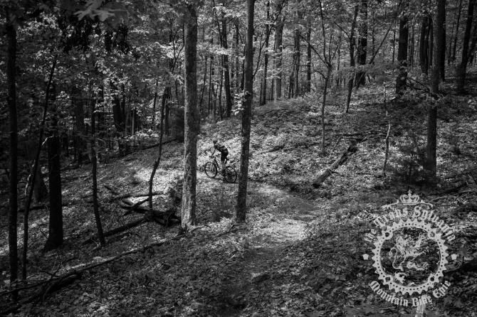 A rider in the Pennsylvania woods at the Trans-Sylvania Epic