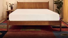 A white PurpleFlex&reg; Mattress on a wooden bedframe with a solid headboard. To either side of the bed are houseplants, behind the bed is a cream wall, and the floor is a bright and patterned rug. To the right is a curtain with warm light coming in.