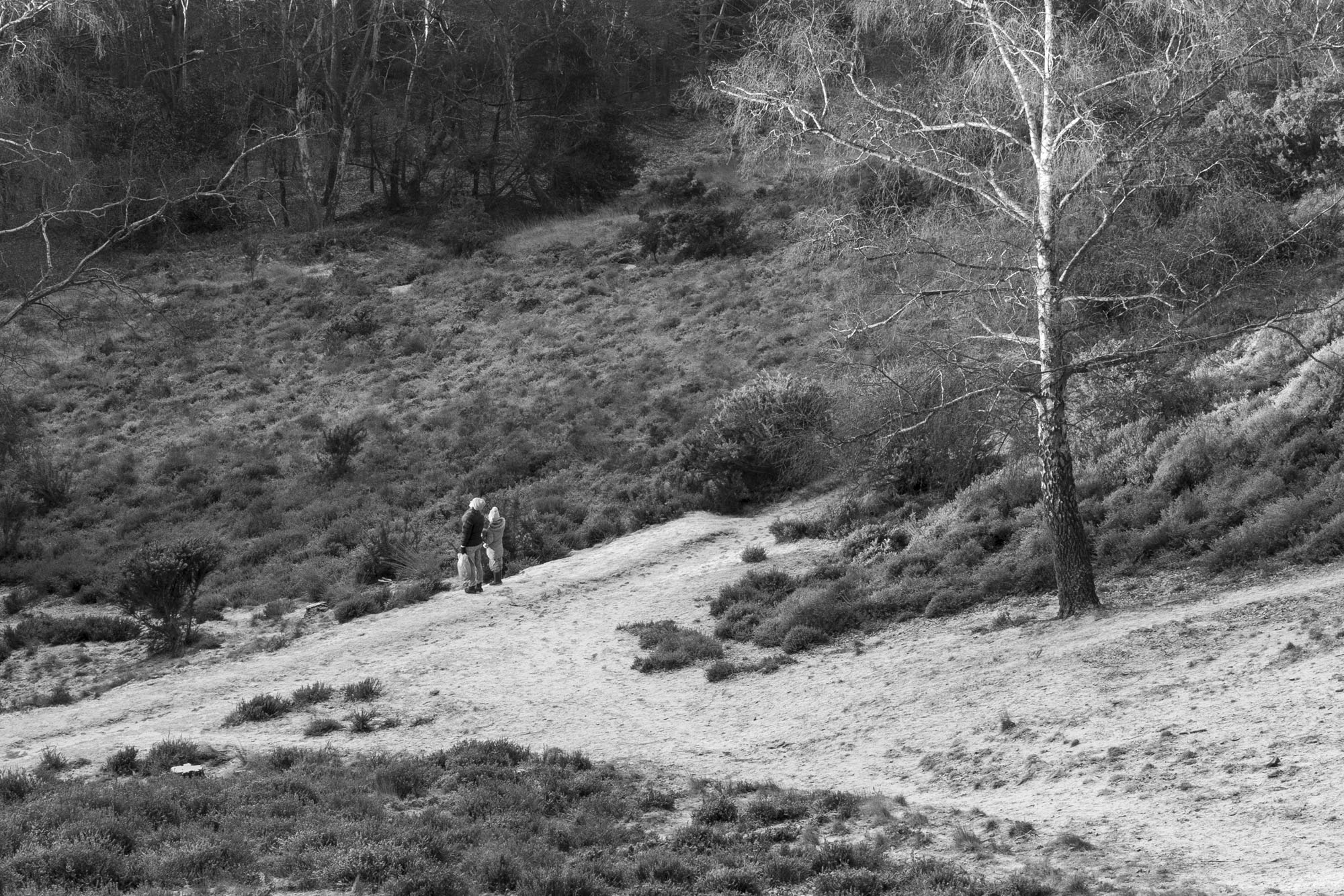 Leica Q3 Monochrom sample gallery: an elevated viewpoint of a common